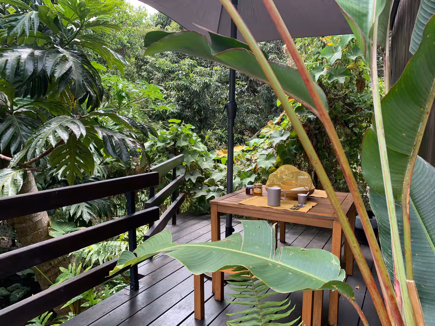 Espace extérieur en journée